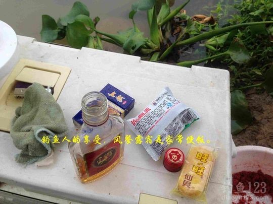 新年垂钓大鲫利事狂拉鲫鱼满鱼护