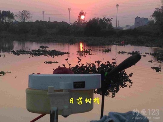 新年垂钓大鲫利事狂拉鲫鱼满鱼护