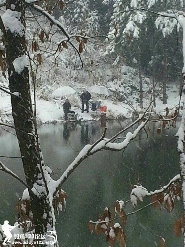 栾川钓鱼人独钓寒江雪