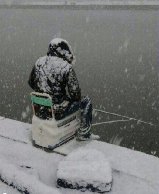 栾川钓鱼人独钓寒江雪