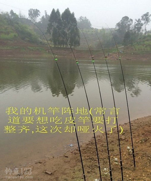 矶竿垂钓