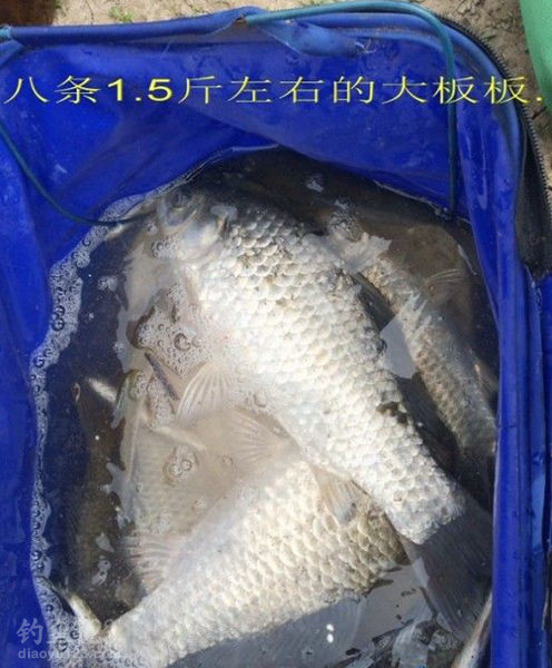 最后渔获