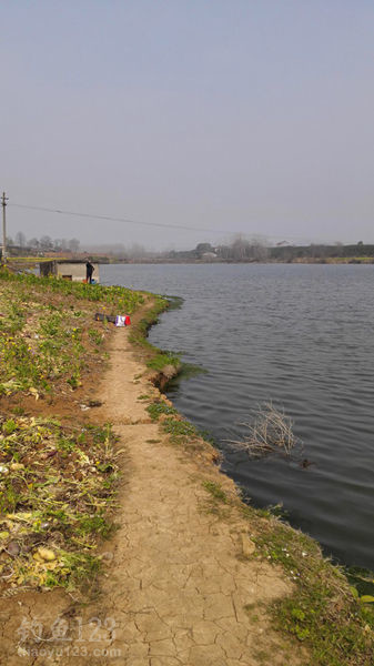 水库钓鲫鱼