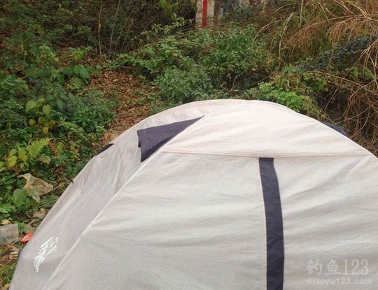 新年首次夜钓之行爆连鲫鱼满鱼护