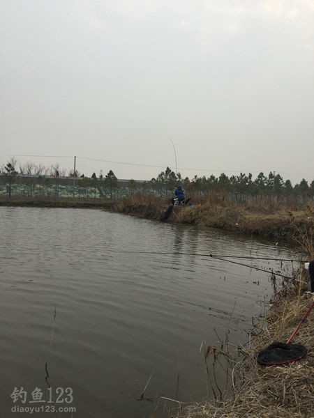 台钓黑鱼