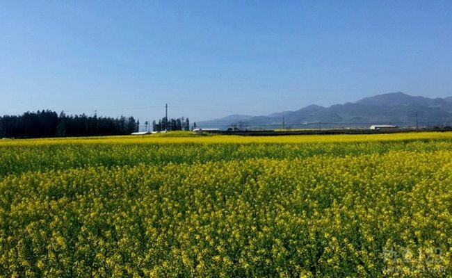 春节万峰湖九龙湾筏钓罗飞和大鲢鳙