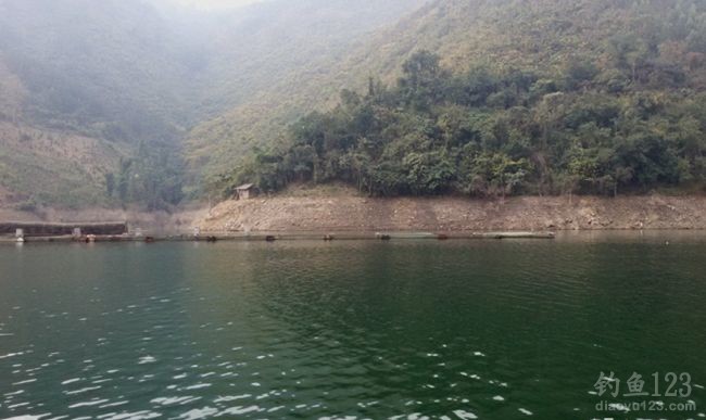春节万峰湖九龙湾筏钓罗飞和大鲢鳙