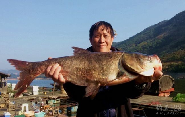 春节万峰湖九龙湾筏钓罗飞和大鲢鳙