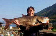 初春筏钓万峰湖爽钓罗非大鲢鳙