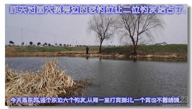 2015节后野钓,大鲫小鲫连竿跳