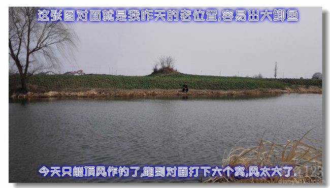 2015节后野钓,大鲫小鲫连竿跳