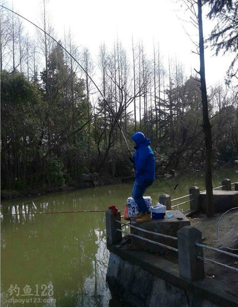 黑坑钓青鱼
