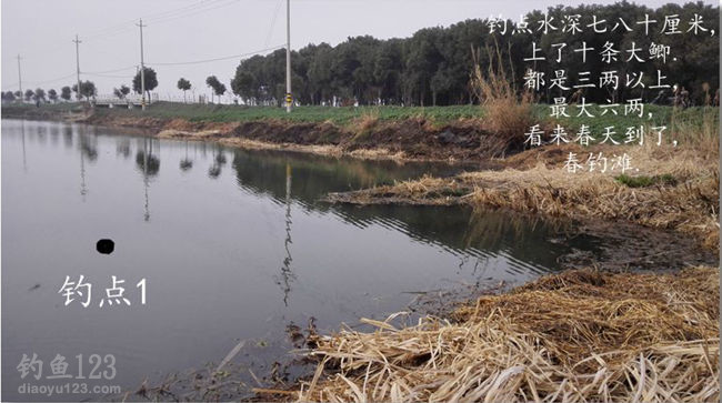 春季钓鱼钓浅滩