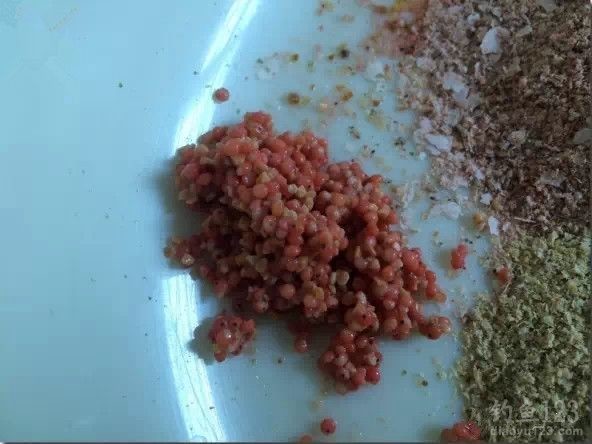 麻团蘸饵钓大鲫鱼