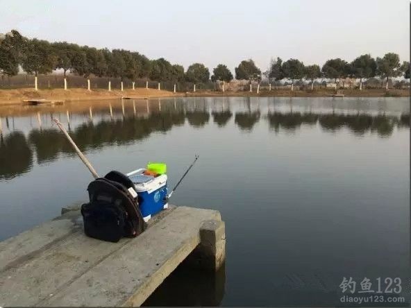 麻团蘸饵钓大鲫鱼