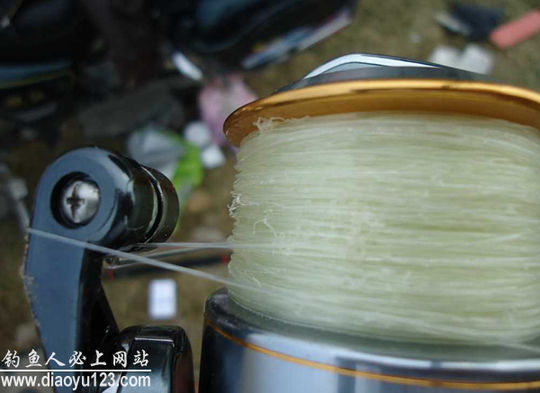 海竿鱼线