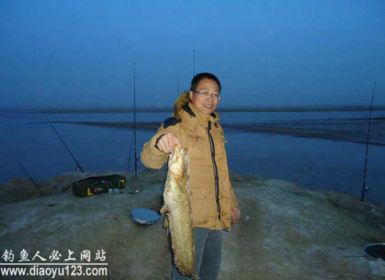 夜钓鲶鱼