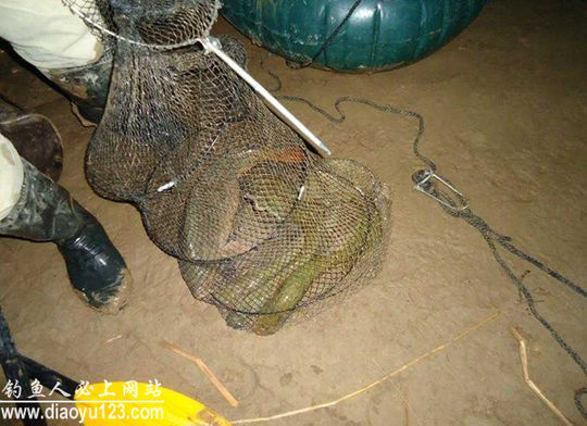 黄河钓鱼