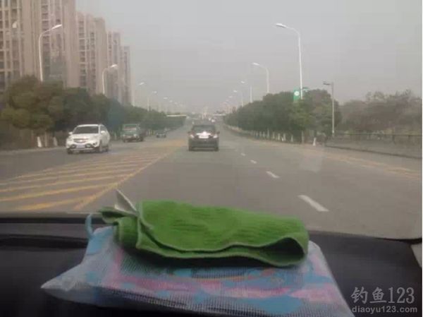有心钓鲫鱼却引来旁皮鱼连连上钩