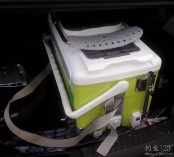 有心钓鲫鱼却引来旁皮鱼连连上钩