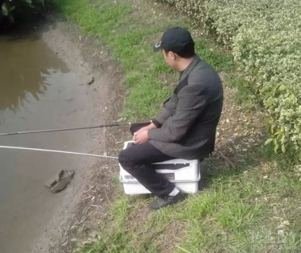 有心钓鲫鱼却引来旁皮鱼连连上钩