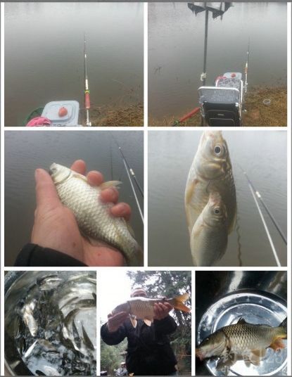 寒风中冬季钓获大鲤鱼