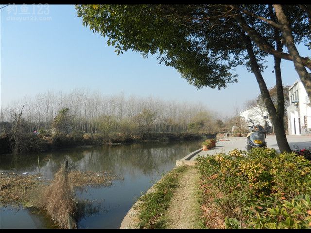 垂钓野河大钓竿钓小鲫鱼