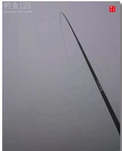 爱钓鱼就是这么任性爽钓到爆桶