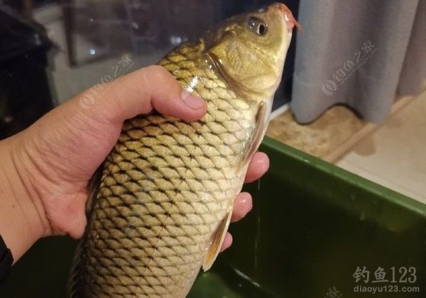 再叙三岔湖月亮岛6.20