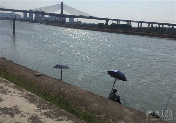 垂钓渔获