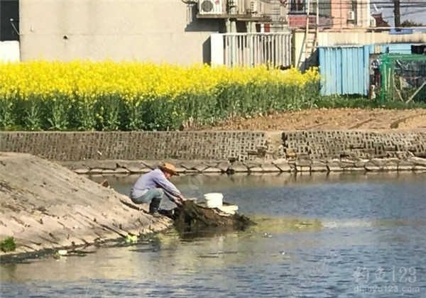 垂钓渔获