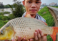资深钓鱼人西江之行垂钓日记分享