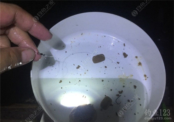 垂钓渔获