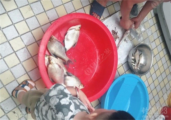 垂钓渔获