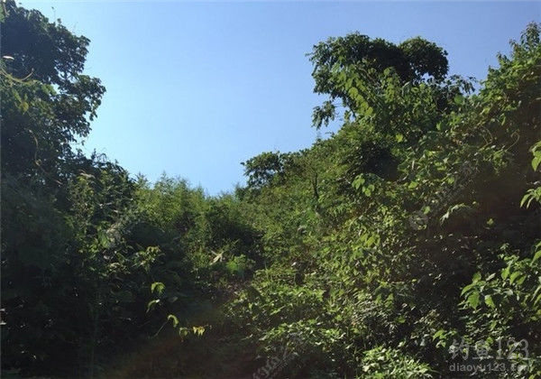垂钓渔获
