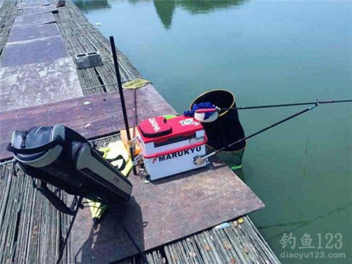 垂钓渔获