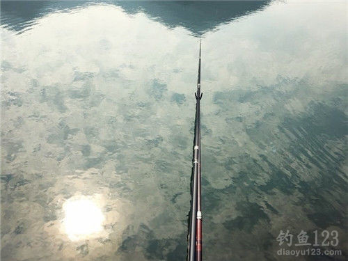 垂钓渔获