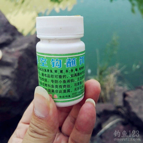 钓鲤鱼