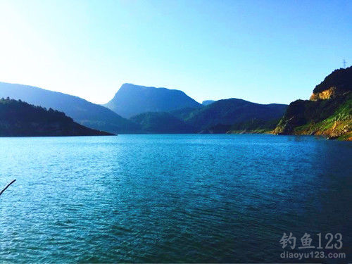 垂钓渔获