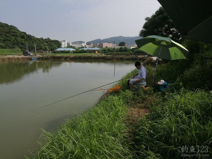 垂钓渔获
