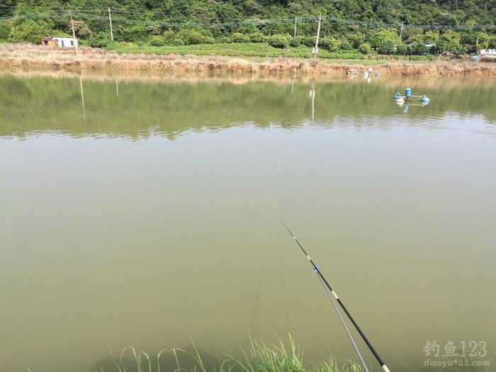 垂钓渔获