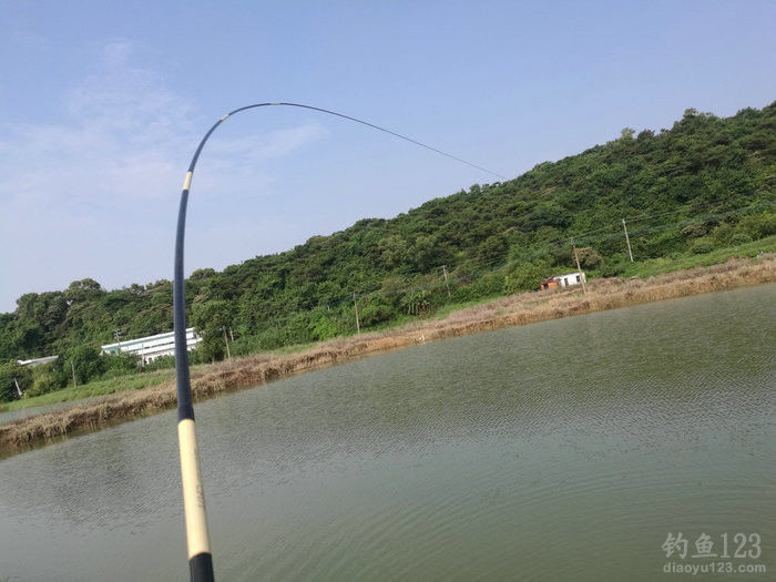 垂钓渔获