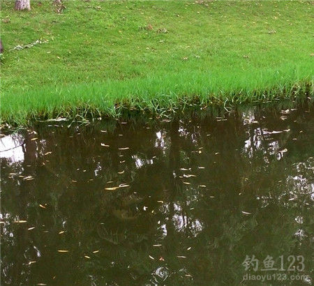 垂钓渔获