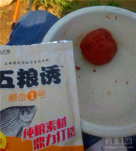 垂钓渔获