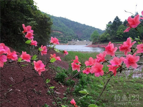 垂钓渔获