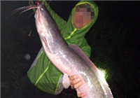 野钓东江支流手竿自制饵料夜擒大鲶鱼
