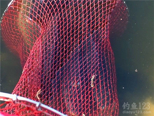 渔获