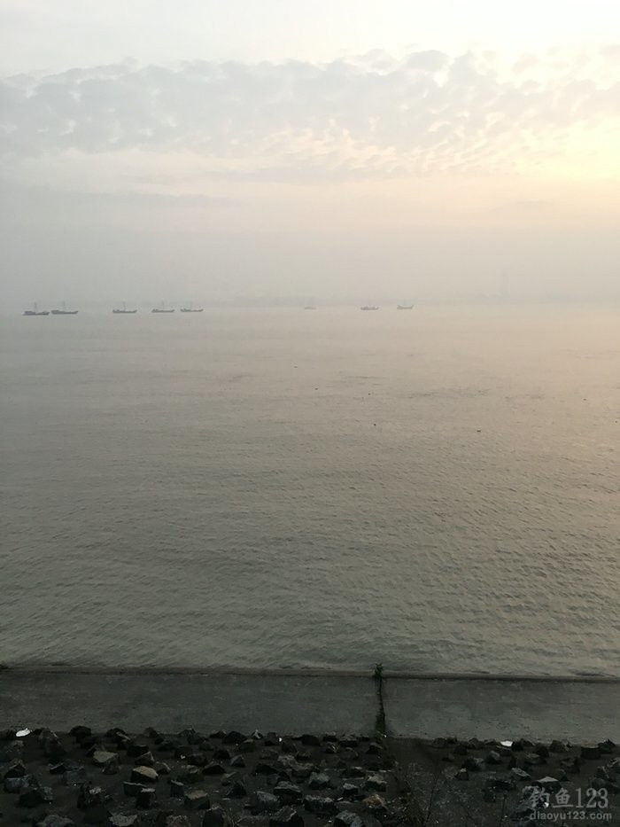 钓鱼日记