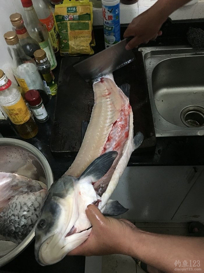 钓鱼日记
