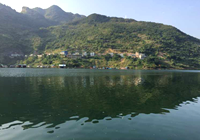 千岛湖钓棚矶竿玉米饵矶钓大罗非爆护